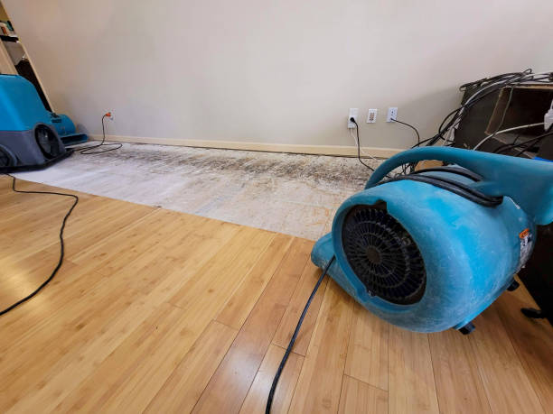 Professional Burst Pipe Water Damage technician working in Hustisford, WI
